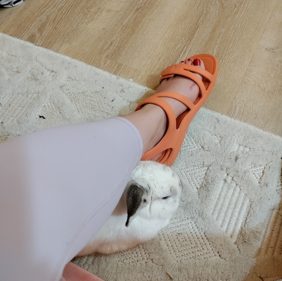 Meet your Posher, Emma - Picture 8 of 9